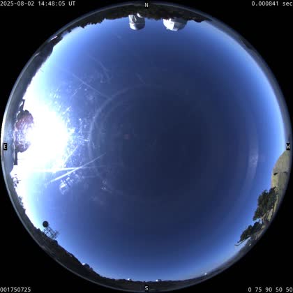 2025-08-02