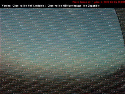 2025-06-25