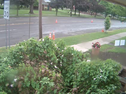 2025-07-01
