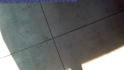 2025-08-07