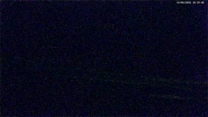 2025-05-31