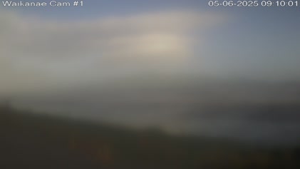 2025-06-04