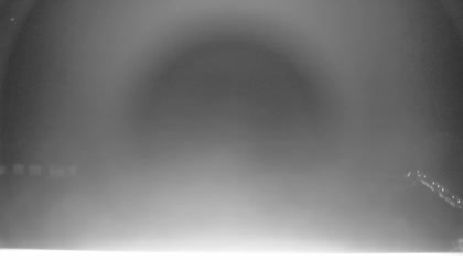 2025-07-01