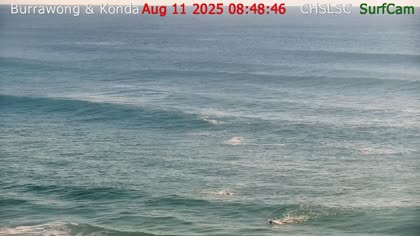 2025-08-11