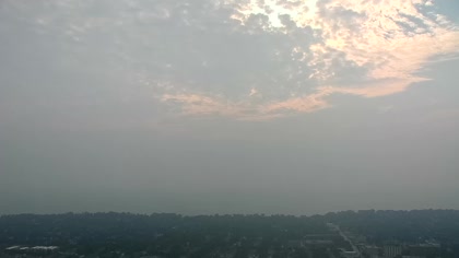 2025-07-31