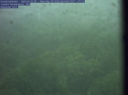 2026-05-25