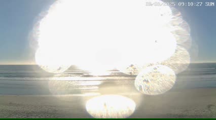2025-06-07