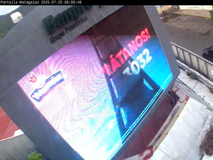 2025-07-25