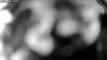 2025-06-26