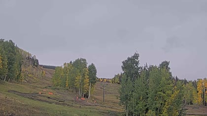 2025-09-28