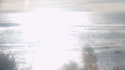 2026-07-10