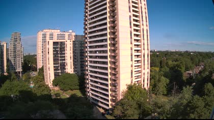 2025-08-01