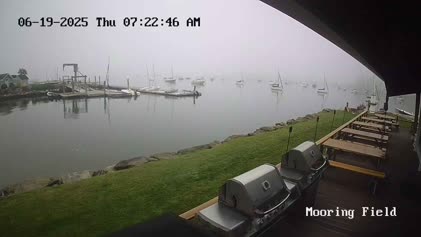 2025-06-19