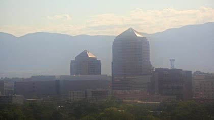 2025-08-12