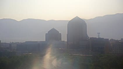 2025-06-08