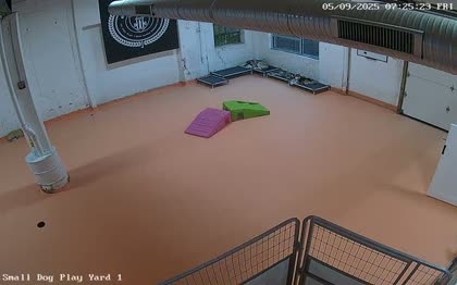 2025-05-09