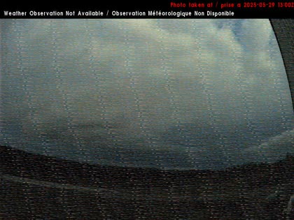 2025-05-29