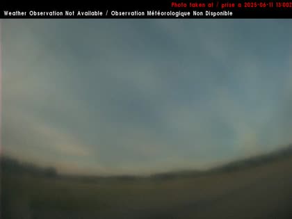 2025-06-11