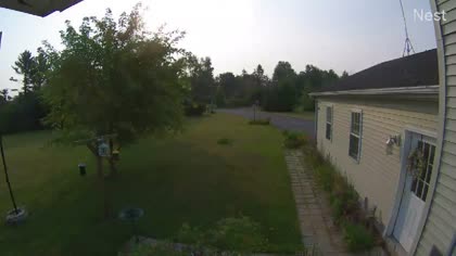 2025-08-06