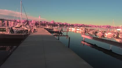 2025-10-07