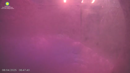 2025-08-04