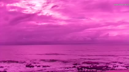 2025-04-29