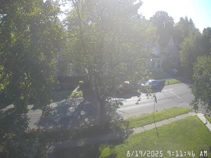 2025-08-19