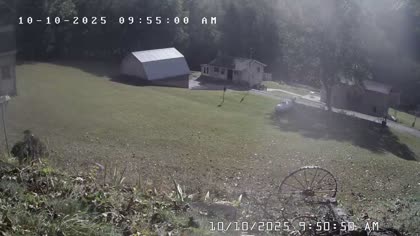 2025-10-10