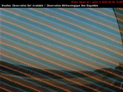 2025-09-06