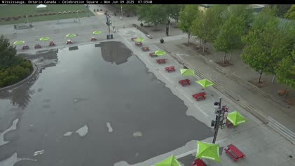 2025-06-09