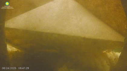 2025-08-24