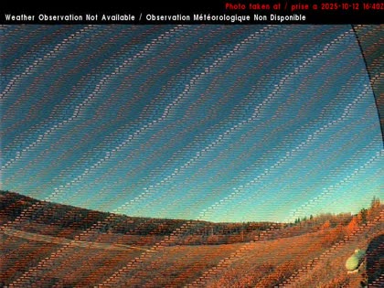2025-10-12