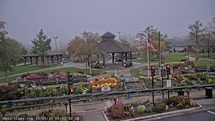 2025-10-07