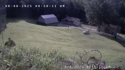 2025-08-08
