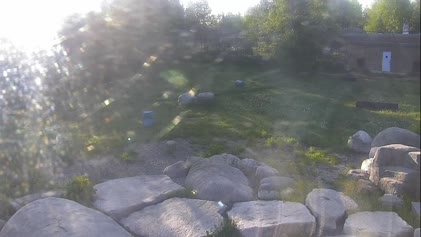 2025-06-14