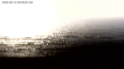 2025-06-12