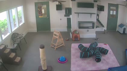 2025-05-17
