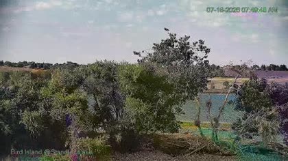 2026-07-16