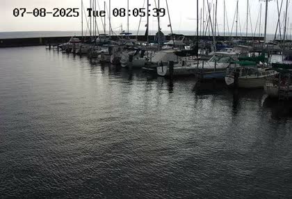 2025-07-08