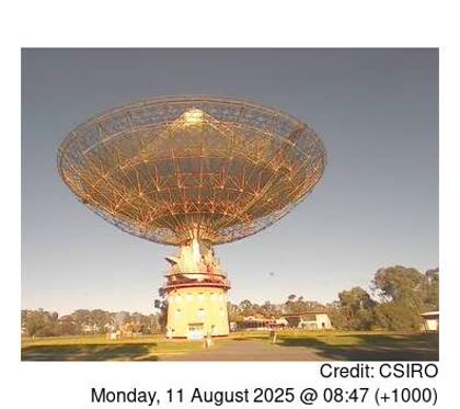 2025-08-11
