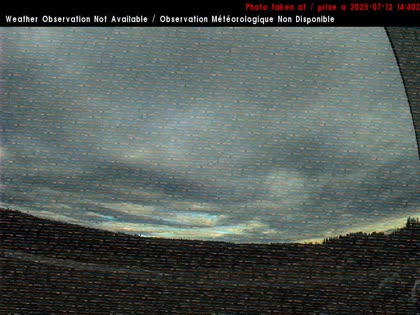 2025-07-12