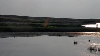 2026-07-31