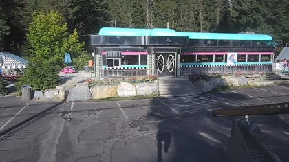 2025-07-25