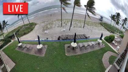 2026-10-18