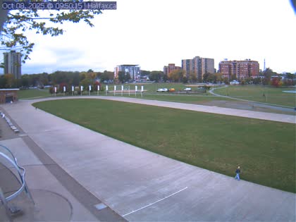 2025-10-08