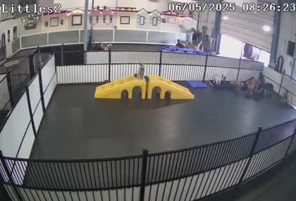 2025-06-05