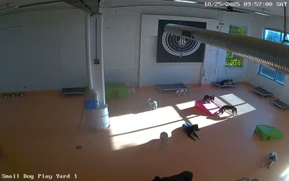 2025-10-25