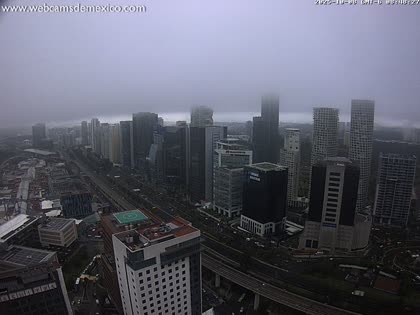 2025-10-08