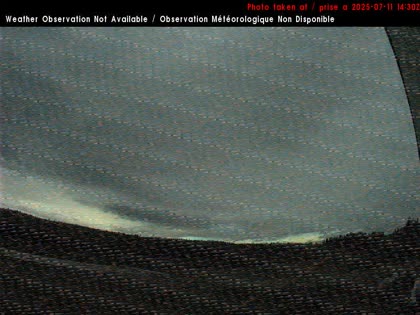 2025-07-11