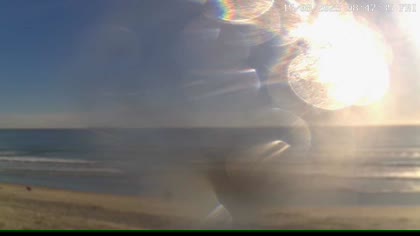 2025-08-14